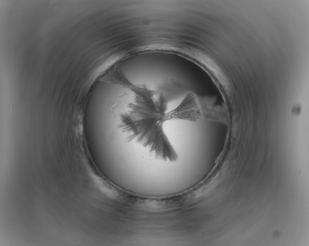 X0000096381241200802071506