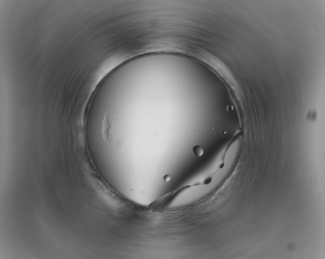 X0000096381242200802071506