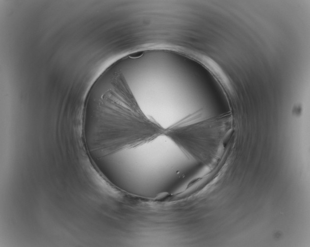 X0000096381244200802071506