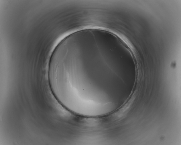 X0000096381246200802071506