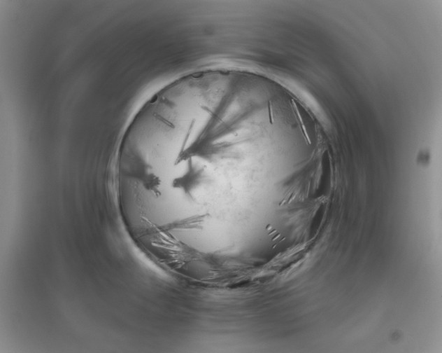 X0000096381247200802071506