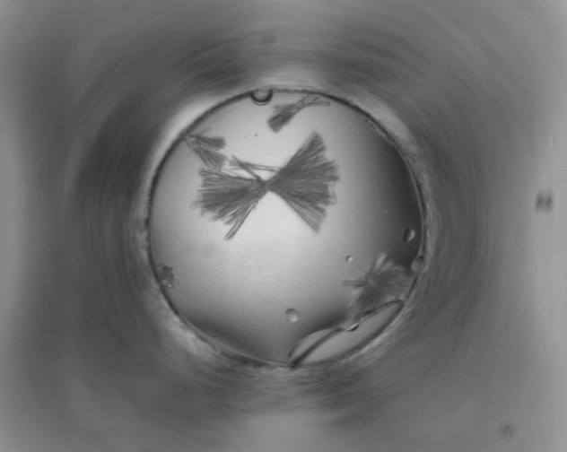 X0000096381248200802071506