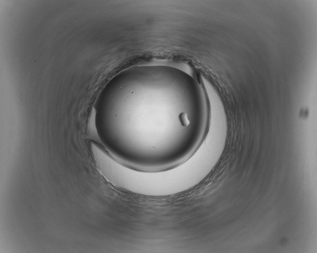 X0000096381249200802071505