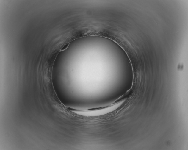 X0000096381250200802071505