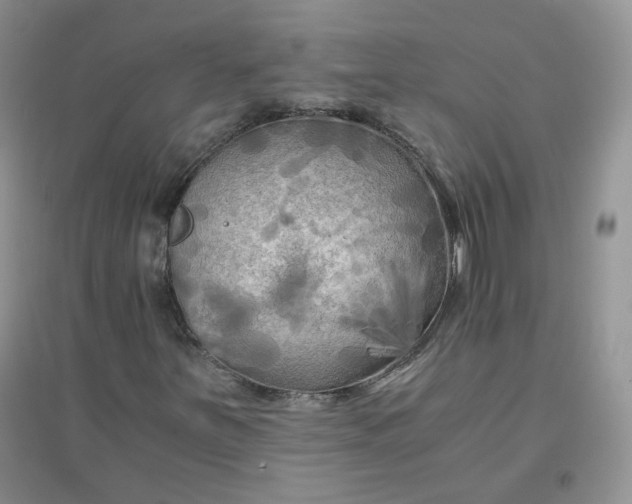 X0000096381251200802071505