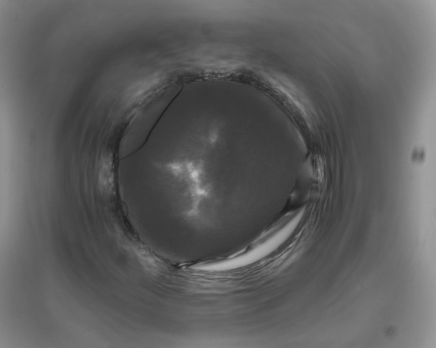 X0000096381252200802071505