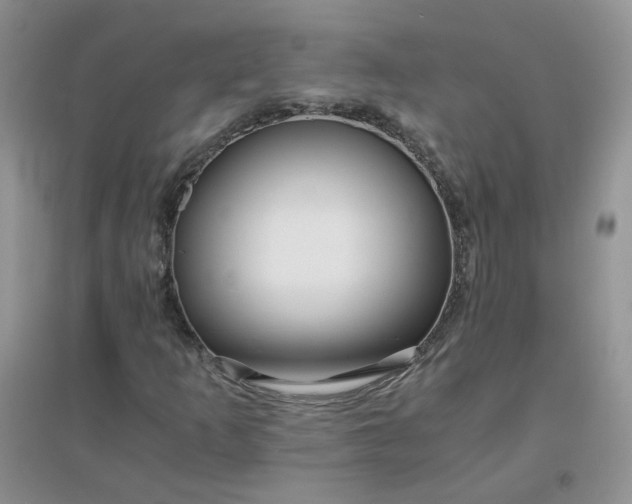 X0000096381253200802071505