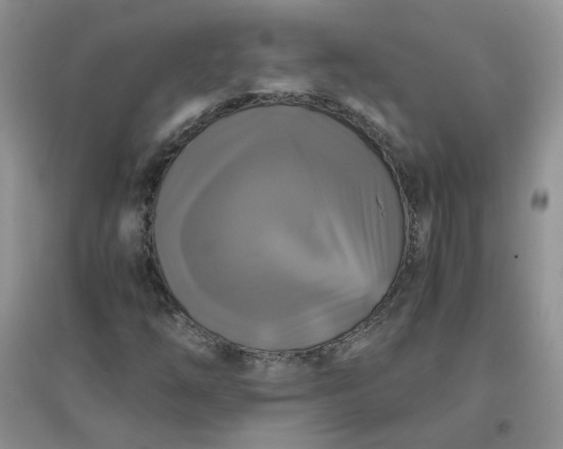 X0000096381254200802071505