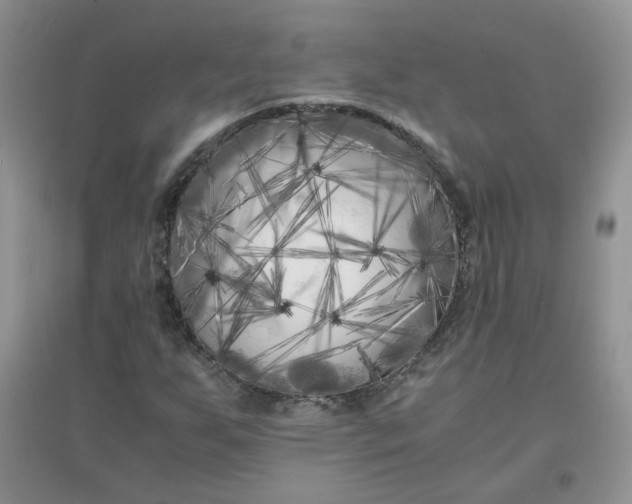 X0000096381255200802071505