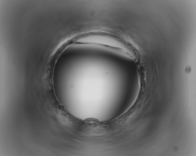 X0000096381256200802071505