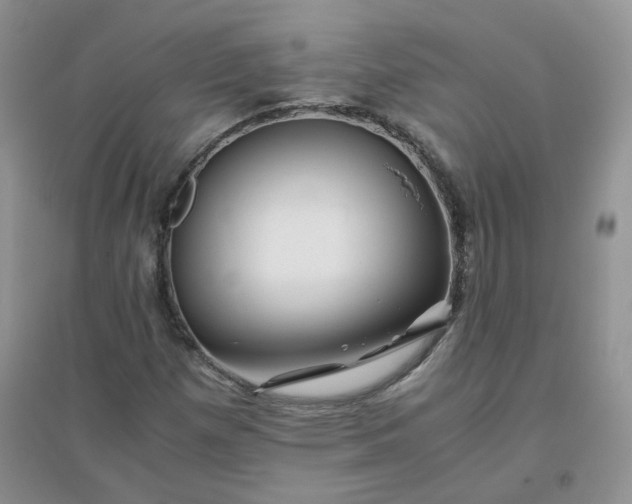 X0000096381257200802071505