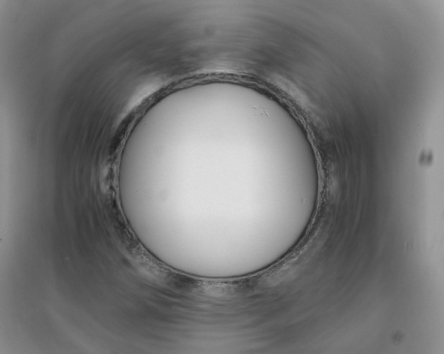 X0000096381258200802071505