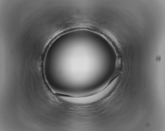 X0000096381260200802071505