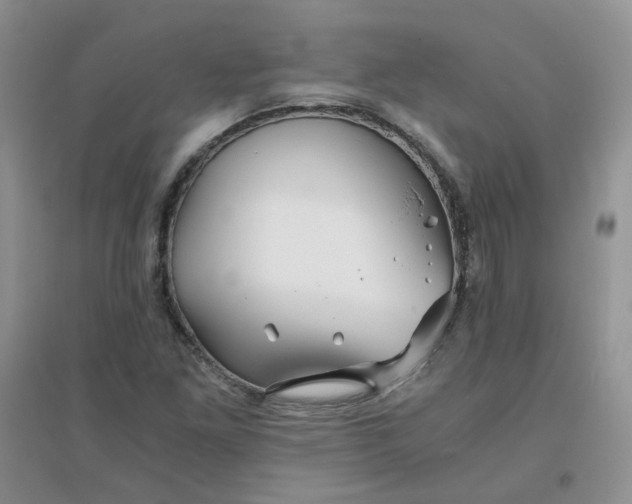 X0000096381261200802071505