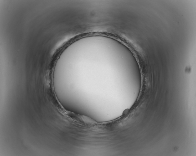 X0000096381262200802071505