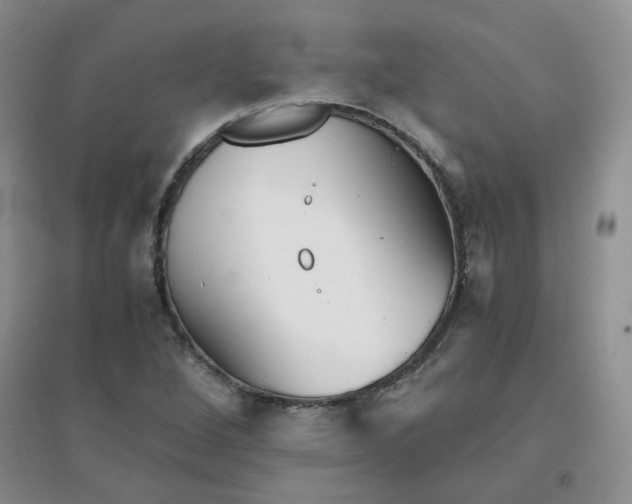 X0000096381264200802071505