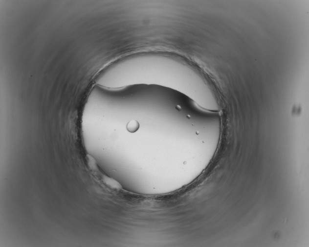 X0000096381265200802071505