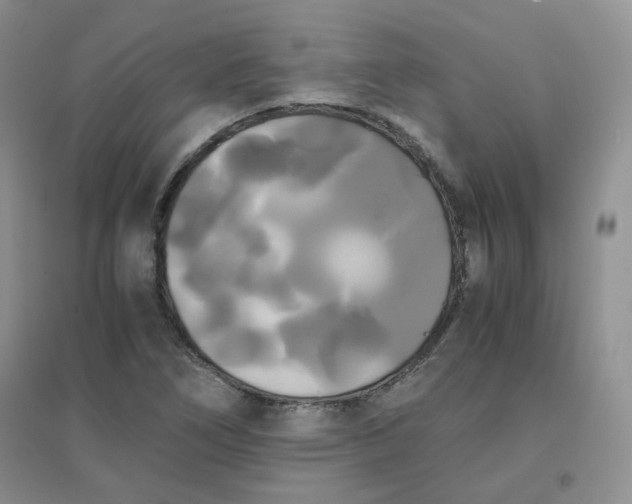 X0000096381266200802071505