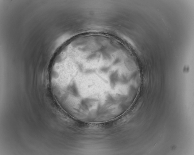 X0000096381267200802071505