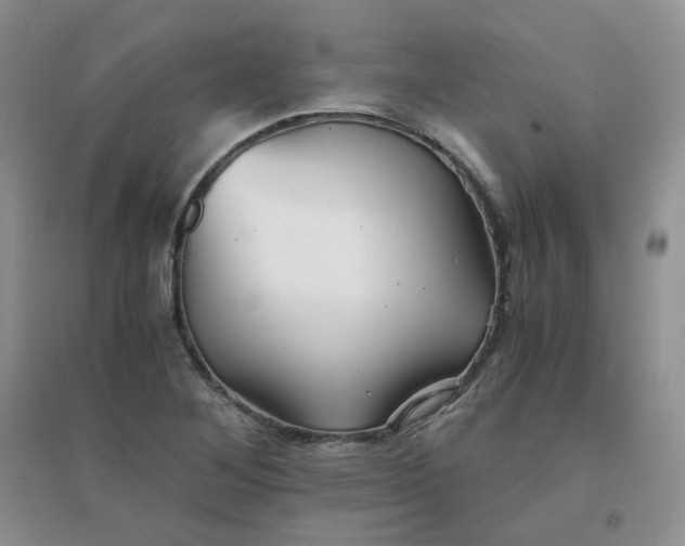 X0000096381268200802071505