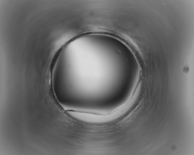 X0000096381269200802071505