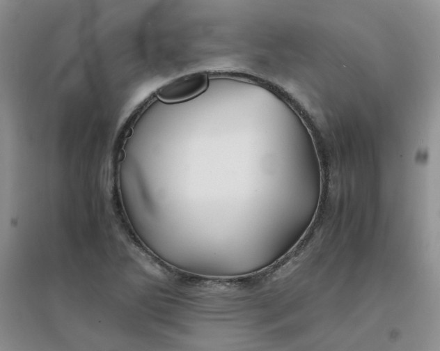 X0000096381270200802071505