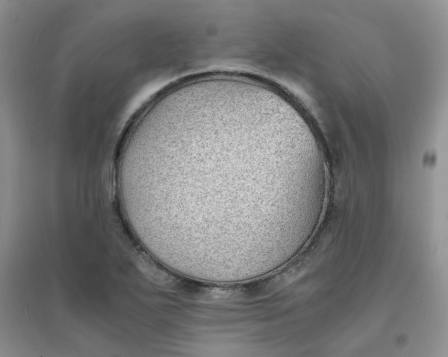 X0000096381271200802071505