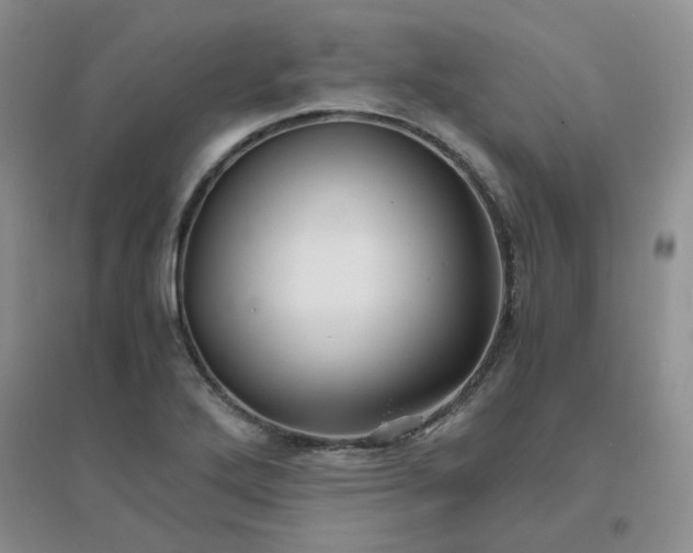 X0000096381272200802071505