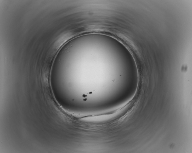 X0000096381273200802071505