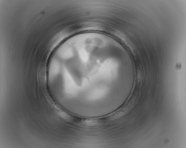 X0000096381274200802071505