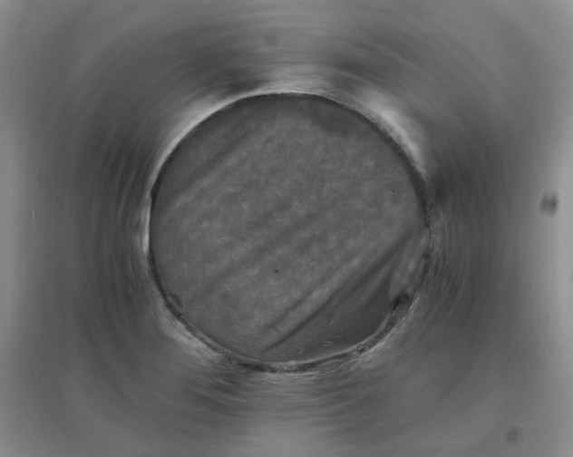 X0000096381276200802071505