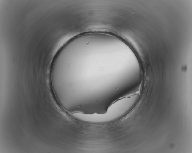 X0000096381277200802071505