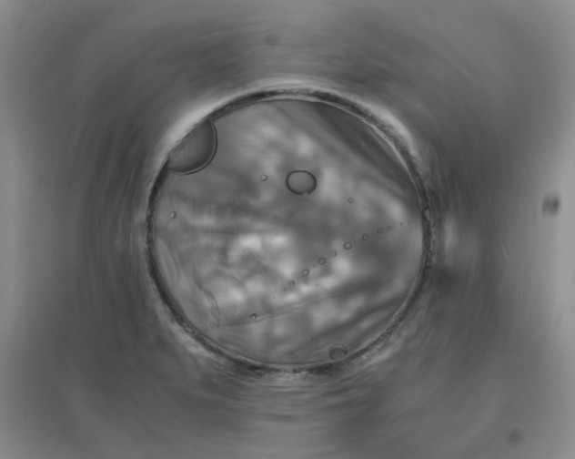 X0000096381279200802071505