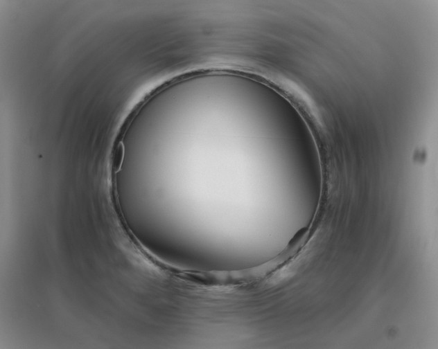 X0000096381280200802071505