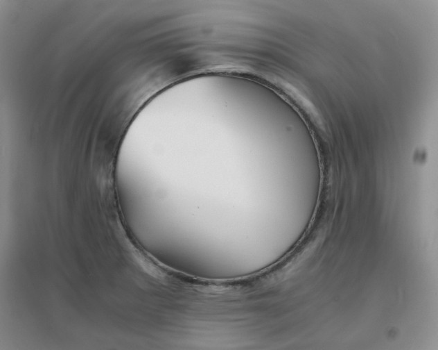 X0000096381281200802071505