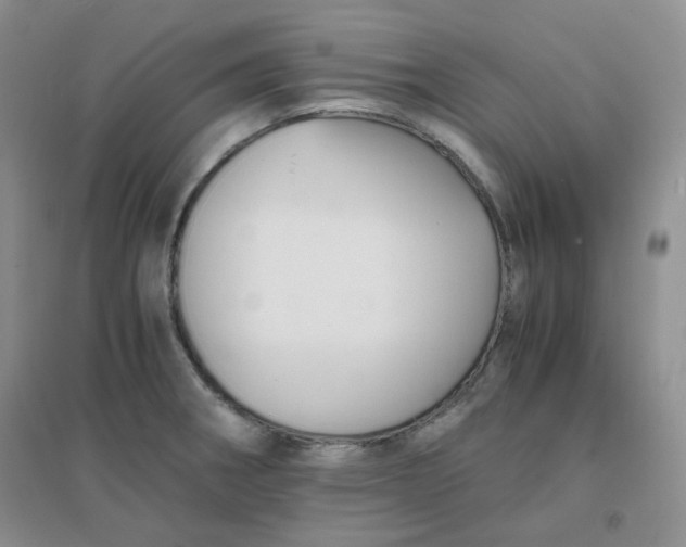 X0000096381282200802071505