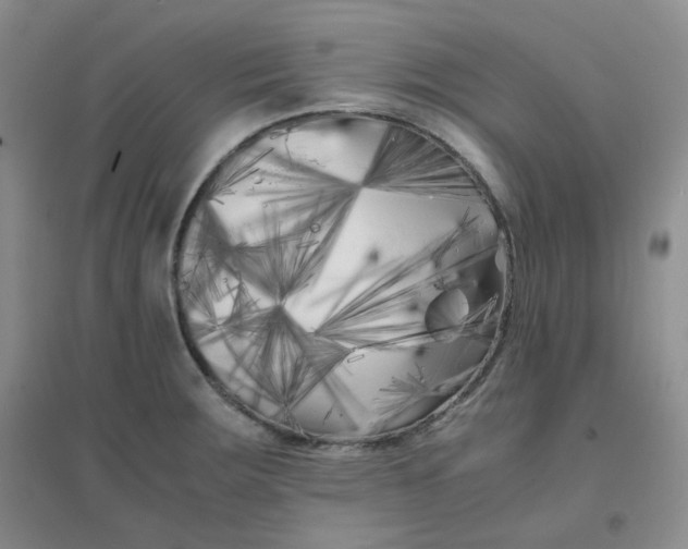 X0000096381283200802071505