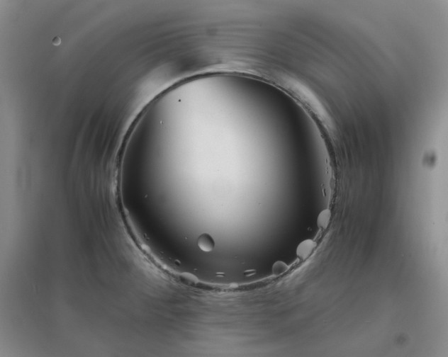 X0000096381284200802071505