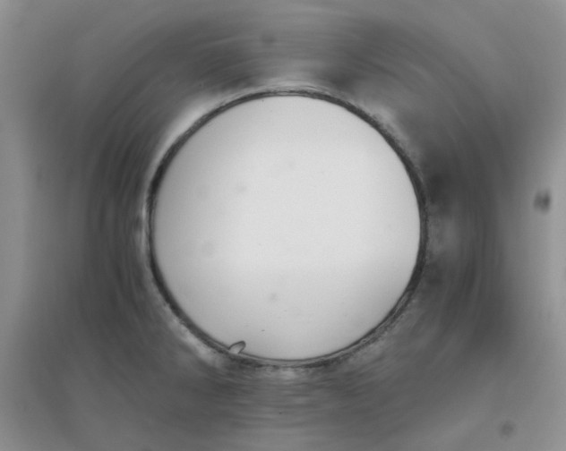 X0000096381286200802071505