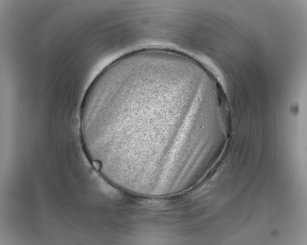 X0000096381287200802071505