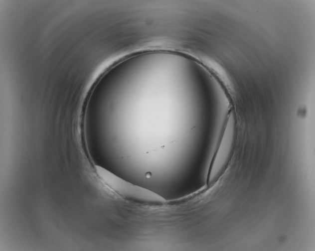 X0000096381288200802071505