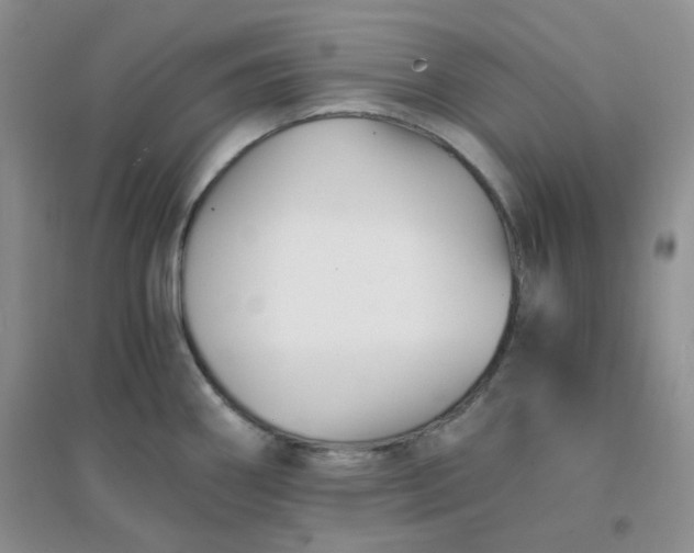 X0000096381290200802071505