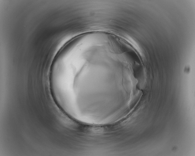 X0000096381291200802071505