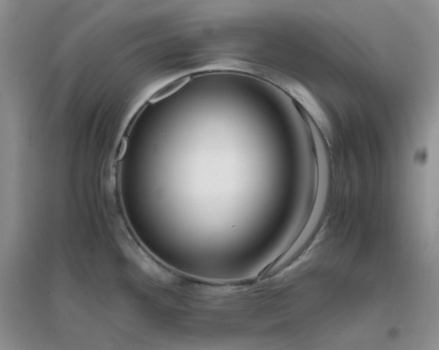 X0000096381292200802071505