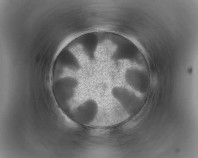 X0000096381294200802071504