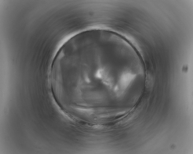 X0000096381295200802071504