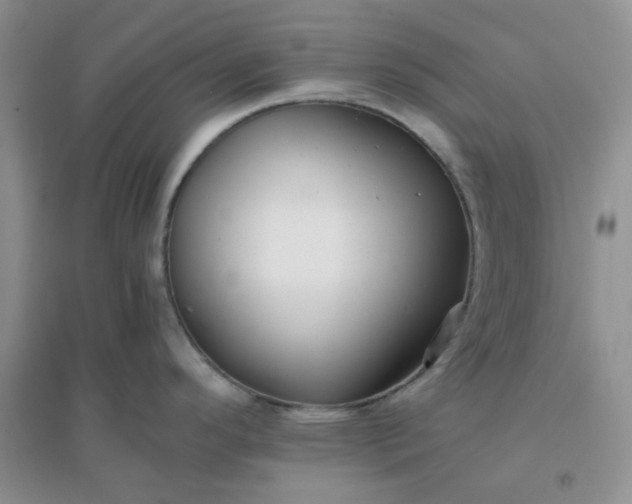 X0000096381296200802071504