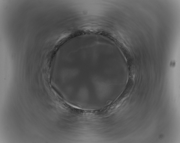 X0000096381297200802071504