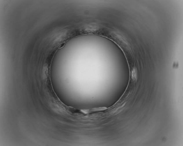 X0000096381299200802071504