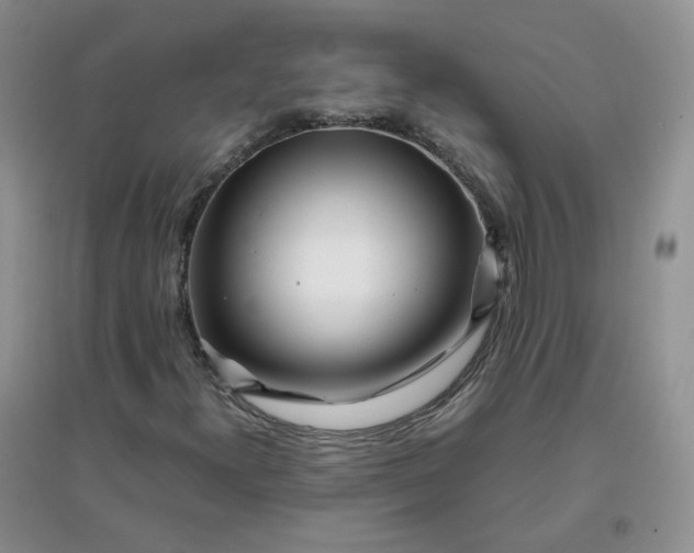 X0000096381300200802071504